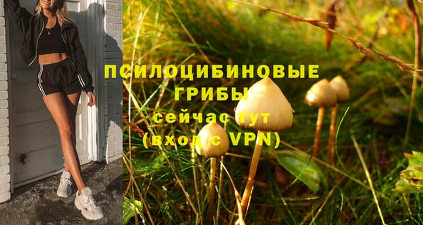 стафф Елабуга
