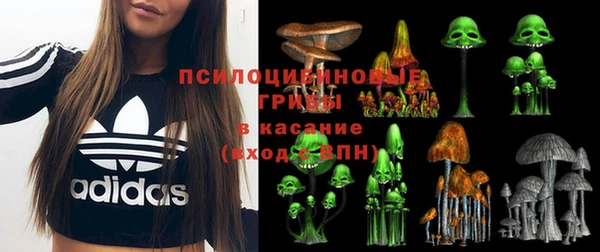гашиш Ельня